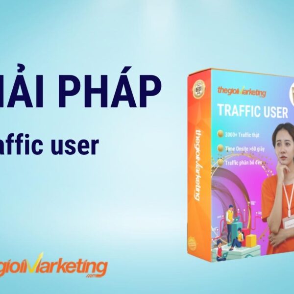 Traffic user
