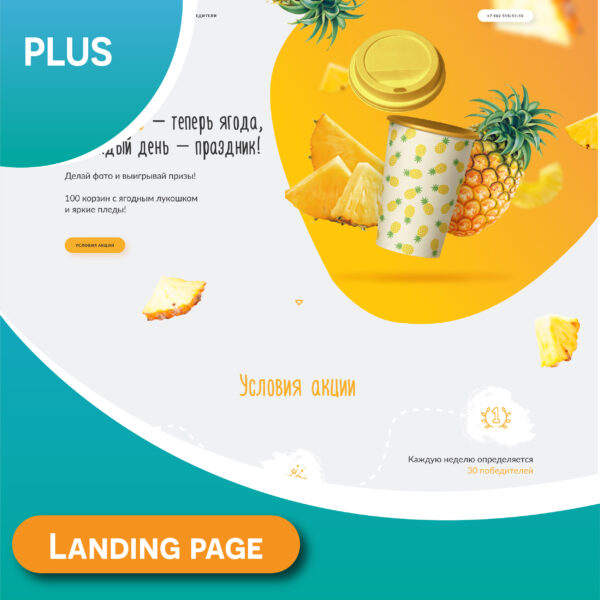 thiết kế landingpage PLUS