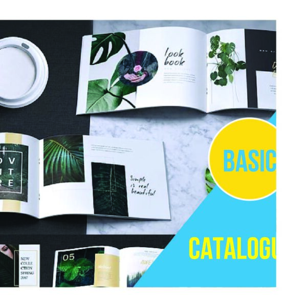 Catalogue Trên 30 trang BASIC