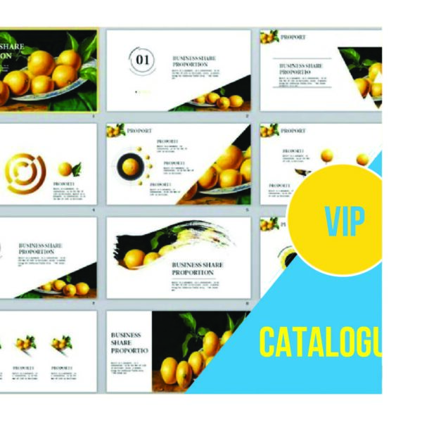 Catalogue Trên 10 dưới 20 trang VIP