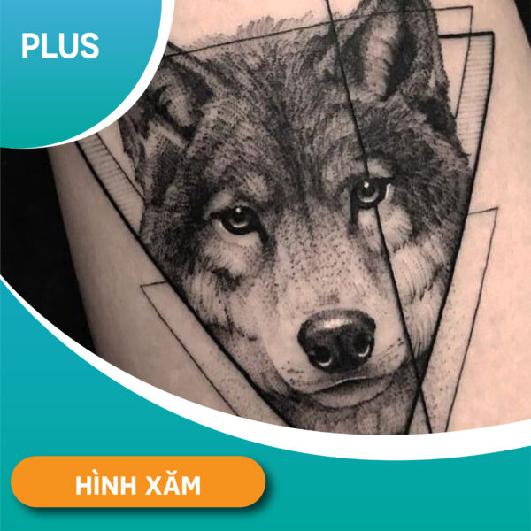 Vẽ hình xăm PLUS