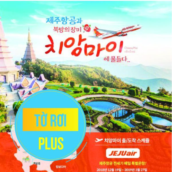 Tờ Rơi PLUS